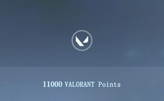 11000特务币(港服充值卡)瓦罗兰特