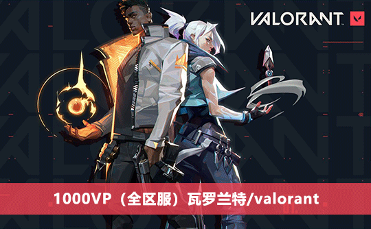 1000VP（全区服）上号代充 瓦罗兰特/valorant
